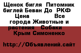 Щенок бигля. Питомник биглей Беван-До (РКФ) › Цена ­ 20 000 - Все города Животные и растения » Собаки   . Крым,Симоненко